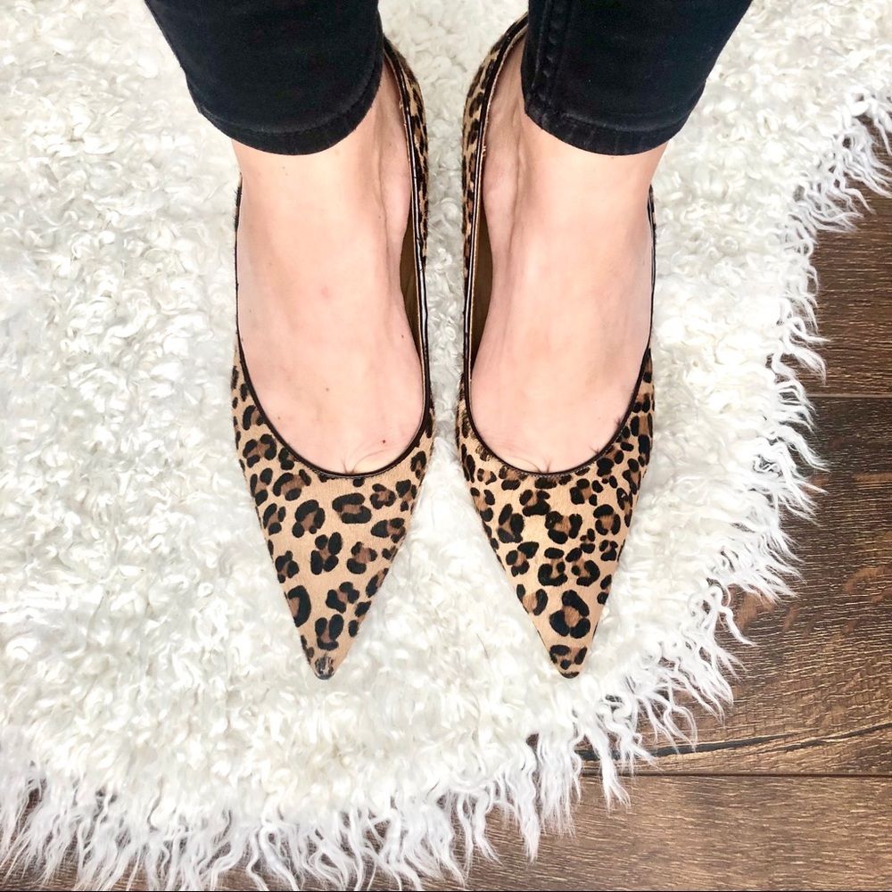 Point Toe Cheetah Heels